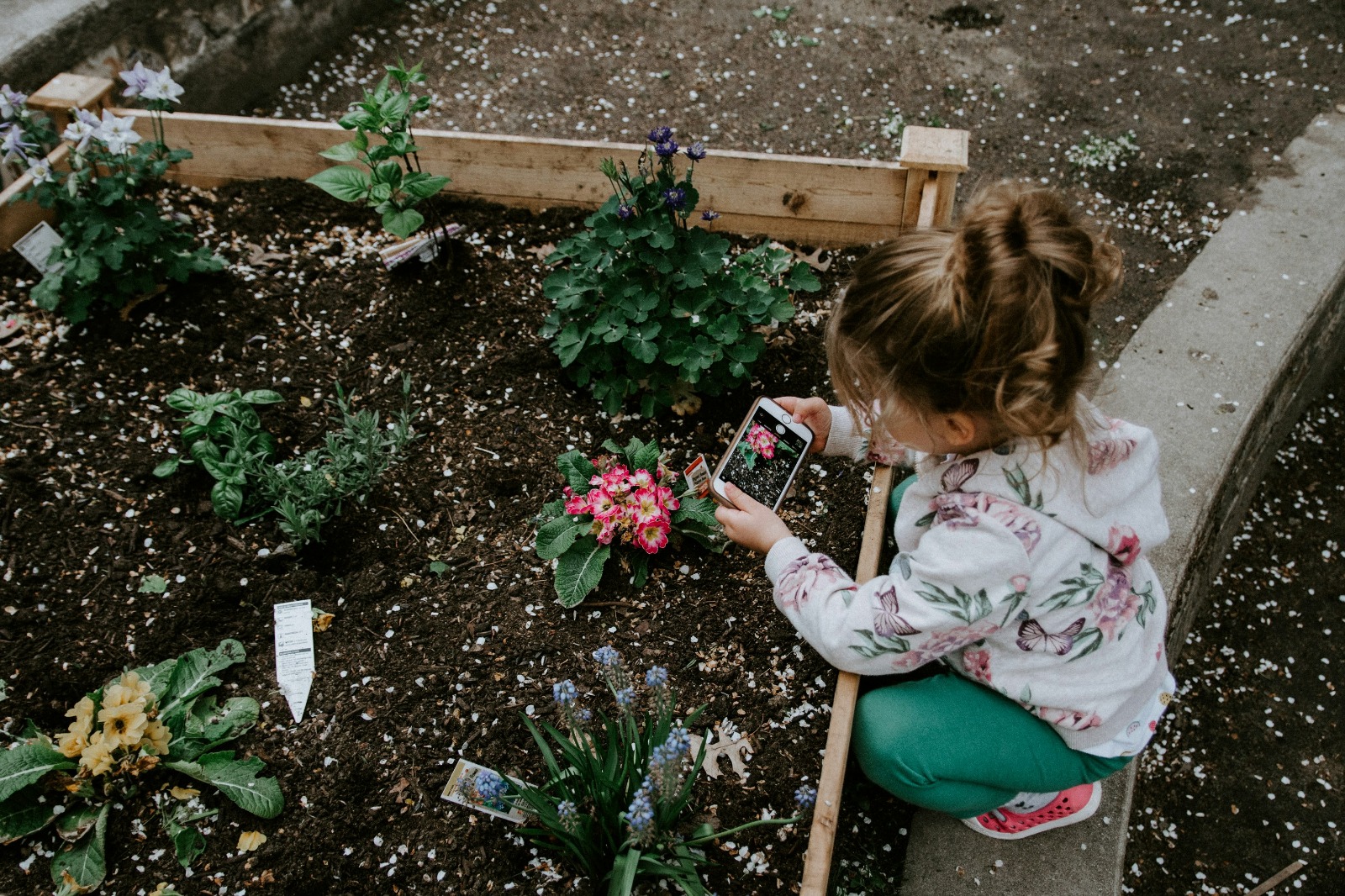 Bambina che osserva la natura